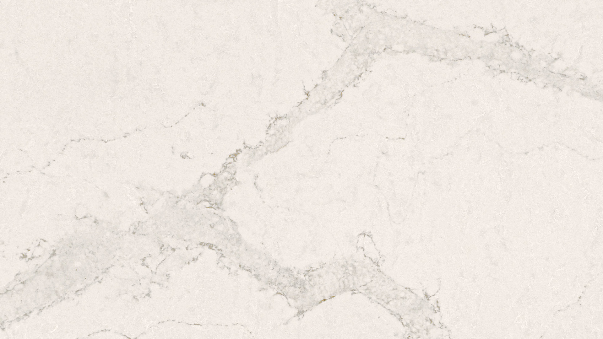 Calacatta Nuvo Calacatta Nuvo