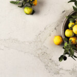 Calacatta Nuvo Calacatta Nuvo