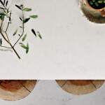 Frosty Carrina Frosty Carrina