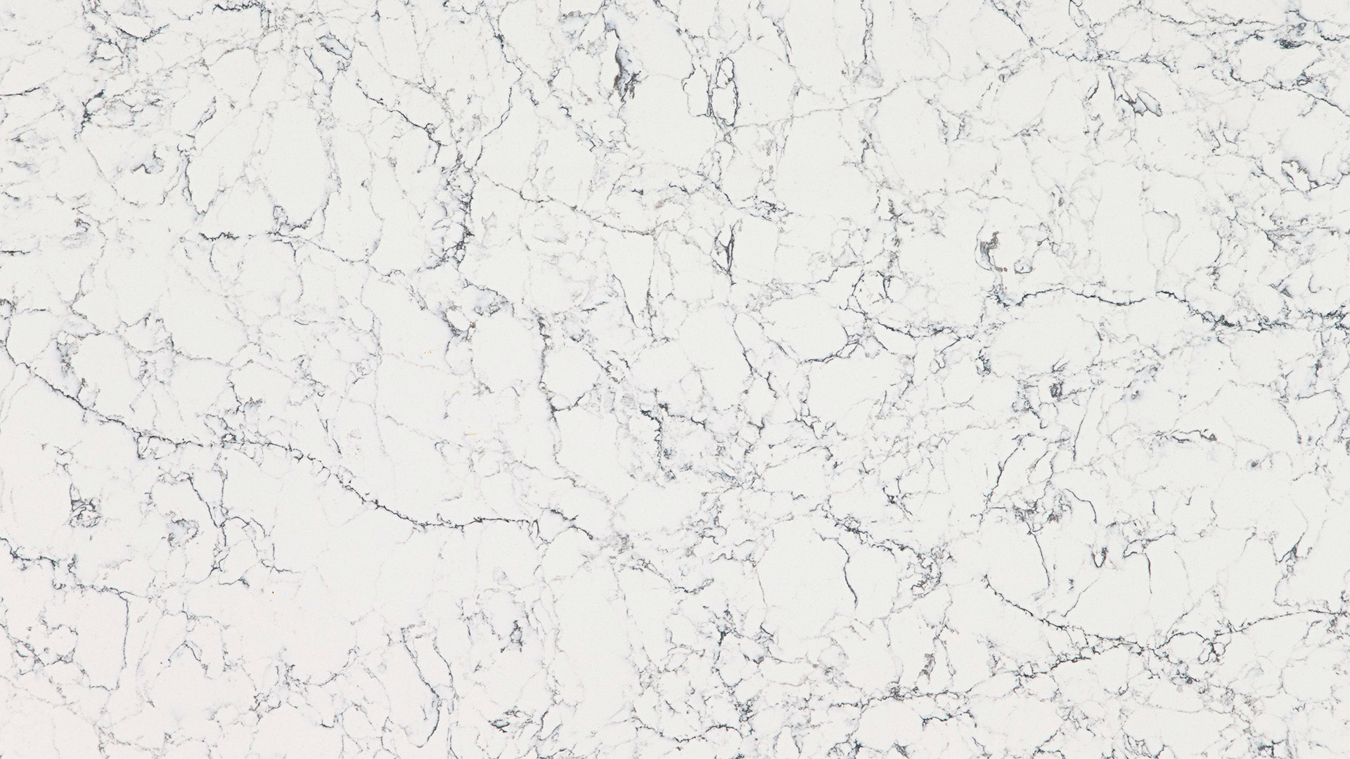 White Attica White Attica