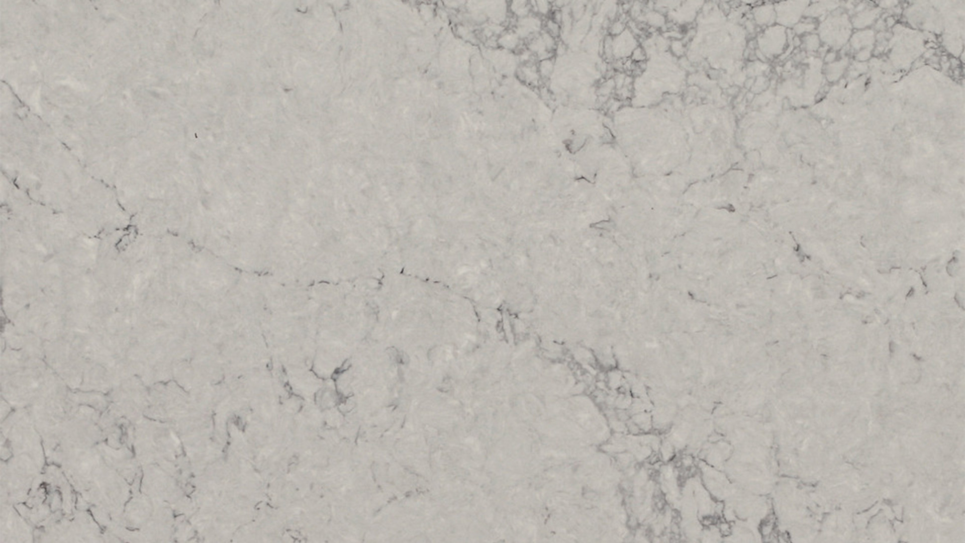 Noble Grey Noble Grey